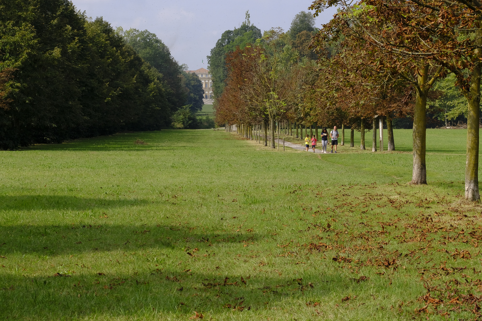 Gli alberi raccontano. Curiosità e storie del Parco di Monza e dei Giardini Reali
