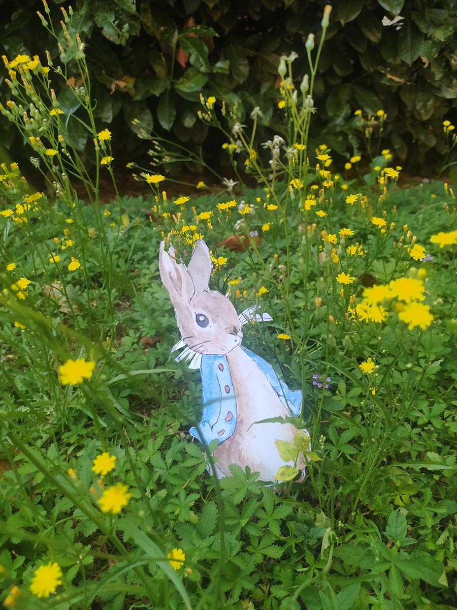 Ciao Peter Coniglio, Hi Peter Rabbit!