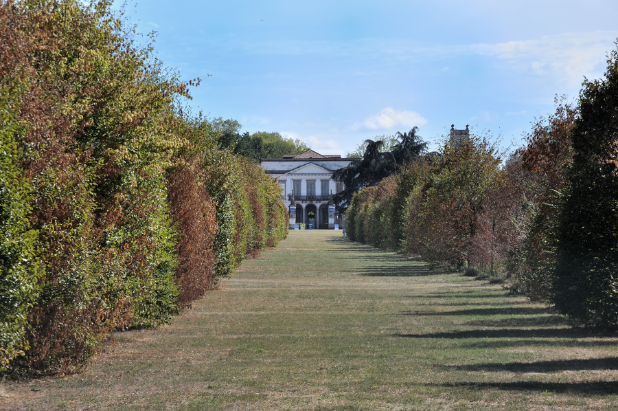 Il cammino dell'arte vegetale