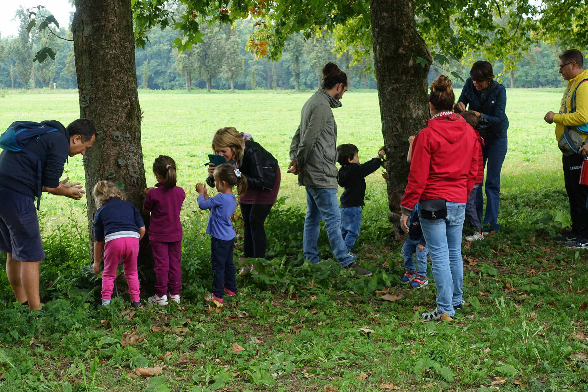 TassoneSalvatore-FestParcoMonza-MuliniAsciutti-