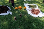 Nel Parco che vorrei…