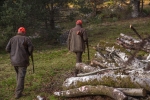 Piccola storia della caccia nel Parco. Da simbolo della forza a banalità del potere: luoghi e racconti