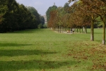 Gli alberi raccontano. Curiosità e storie del Parco di Monza e dei Giardini Reali