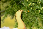 SEGUENDO LE TRACCE DEGLI ABITANTI DEL PARCO